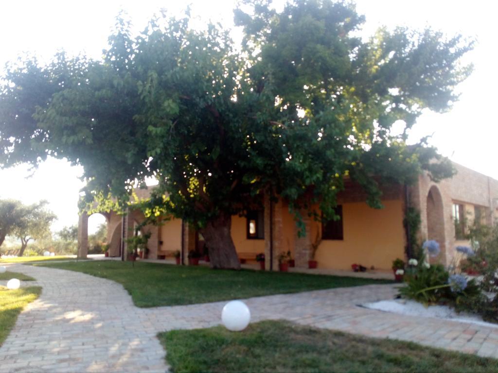 Agriturismo Piccolo Albero Loreto Aprutino Exteriör bild