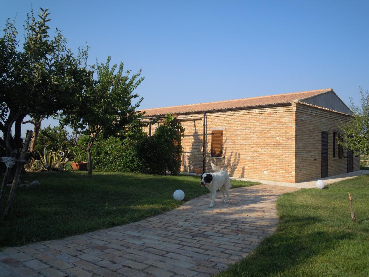 Agriturismo Piccolo Albero Loreto Aprutino Exteriör bild